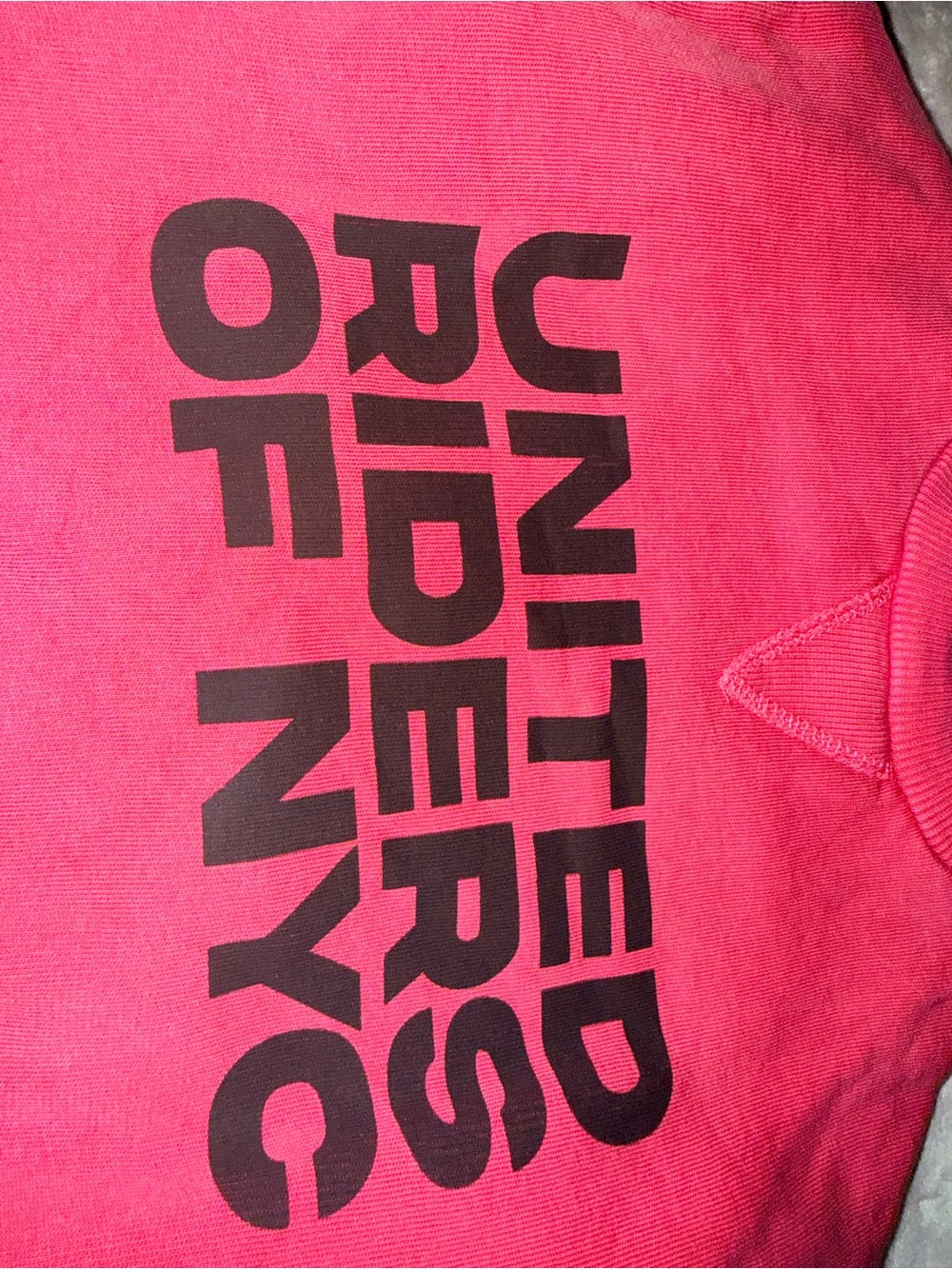 Zara Hot Pink NYC Logo Kids Sweatshirt